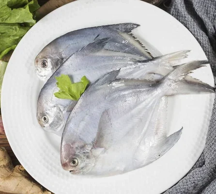 Fresh Pomfret