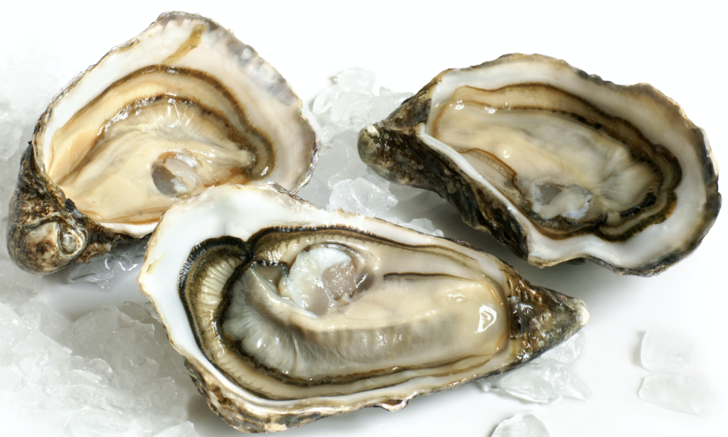Half Shell Oyster