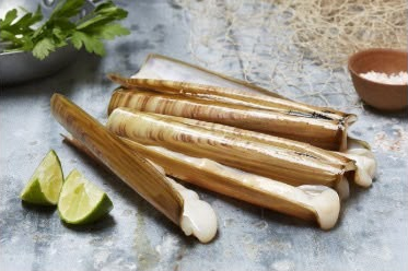 bamboo shell