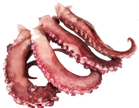 squid tentacles